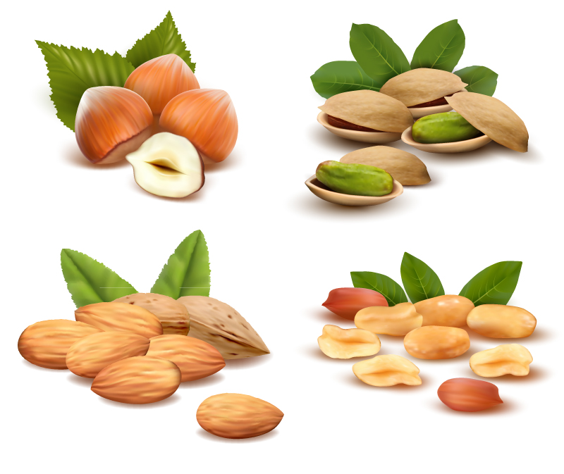 4 delicious snack nuts vector material
