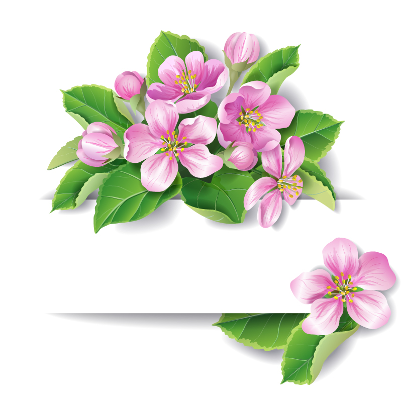 Beautifully decorated pink flowers banner vector material
