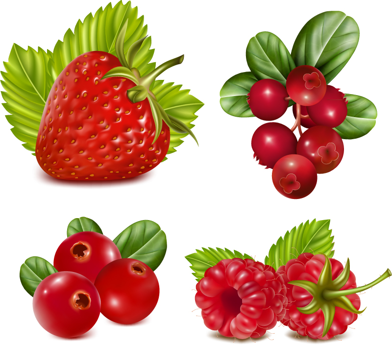 4 red fruit design vector material
