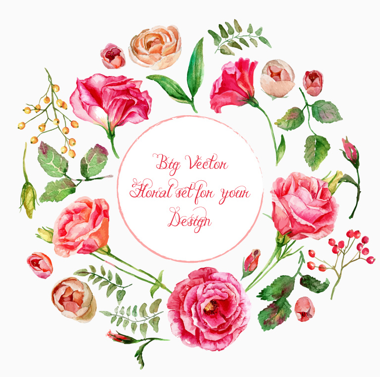 Beautiful summer flowers Vector Drawing
