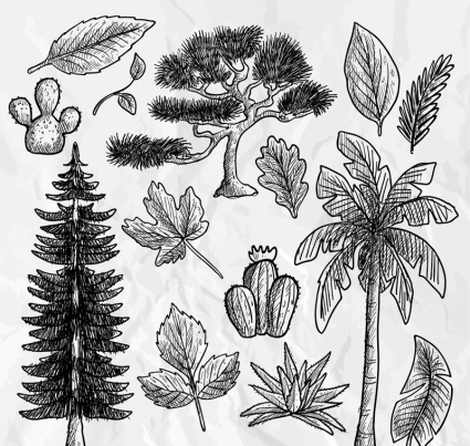 14 painted plants and leaves design vector