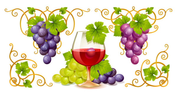 Vector Vine and Wine