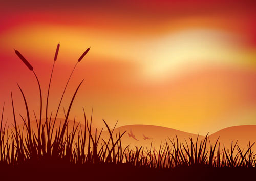 Evening vector material