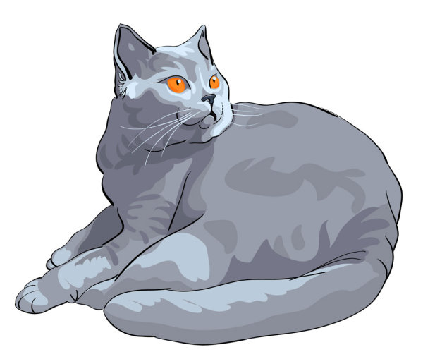 Animal material cat 03 - vector