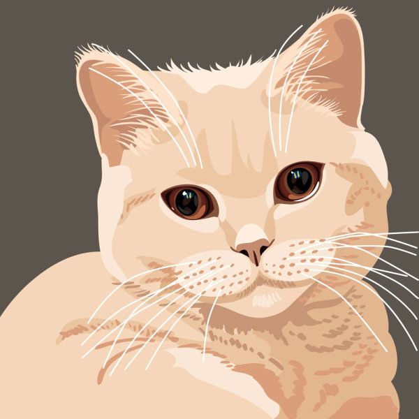 Animal material cat 04 - vector