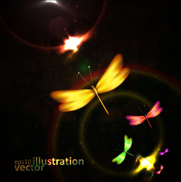 Colorful dragonfly - vector material