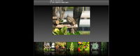 Flash + xml exquisite picture display program