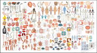 The structure of human organ parts of vector