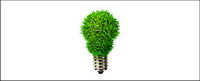 Alternative light bulb picture material-3