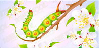 Flowers and insect vector material