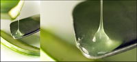 Aloe liquid picture material