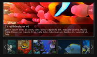 Javascript SlideShow Album code page (JS + CSS)
