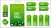 Spring Discount vector icon