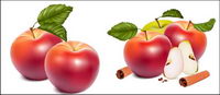 Apple Vector			