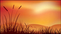 Evening vector material