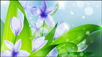 Beautiful flowers vector material -1