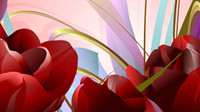 Vector Rose 05 - vector