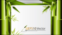 Green bamboo background text template vector material -1