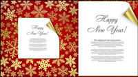 Beautiful snowflake background 05 - vector material