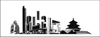 Beijing Vector material