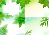 green leaf