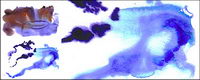 GoMedia produced watercolor ink picture material -003