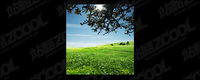 Grass sky picture material