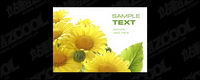 Sunflower picture quality material
