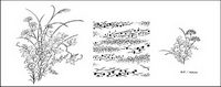 Line drawing of flowers -2