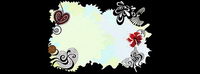 The trend of color vector lace material