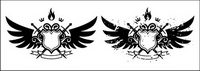 Wings, shield, sword, fire Portfolio