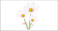 Elegant white flowers vector material