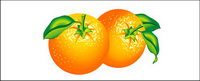 Orange Vector