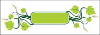 Rattan plant material element vector