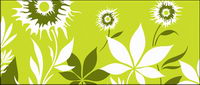 Flowers and leaves