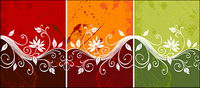 Color patterns