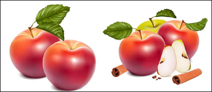 Apple Vector			