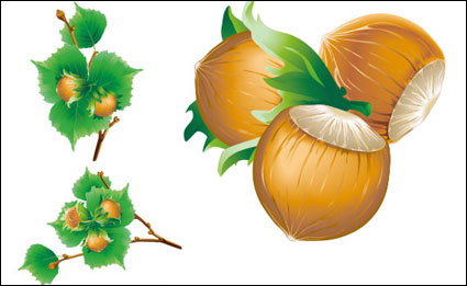 Vector 5 chestnuts			